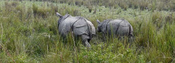 eastern-india-wildlife-trail-tour