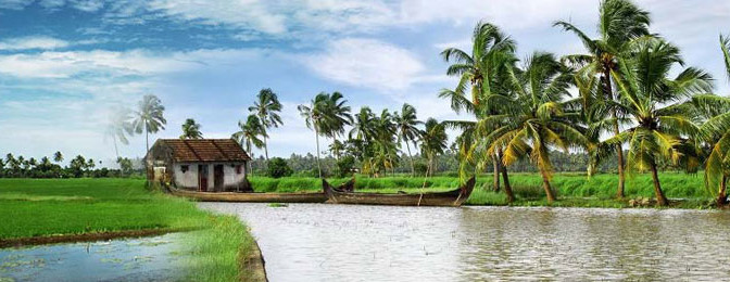 kerala-honeymoon-tours